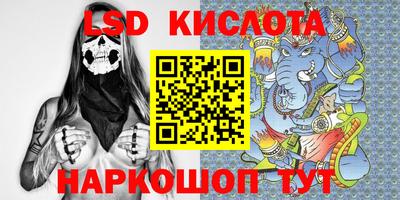индика Боровичи