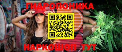 индика Боровичи