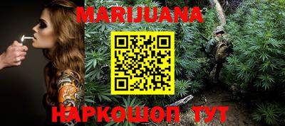 индика Боровичи